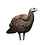 AVIAN X LCD BREEDER HEN TURKEY DECOY