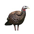 AVIAN X LCD BREEDER HEN TURKEY DECOY