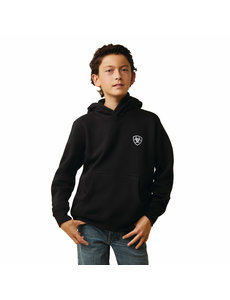 ARIAT YOUTH AMERICANA BLOCK HOODIE