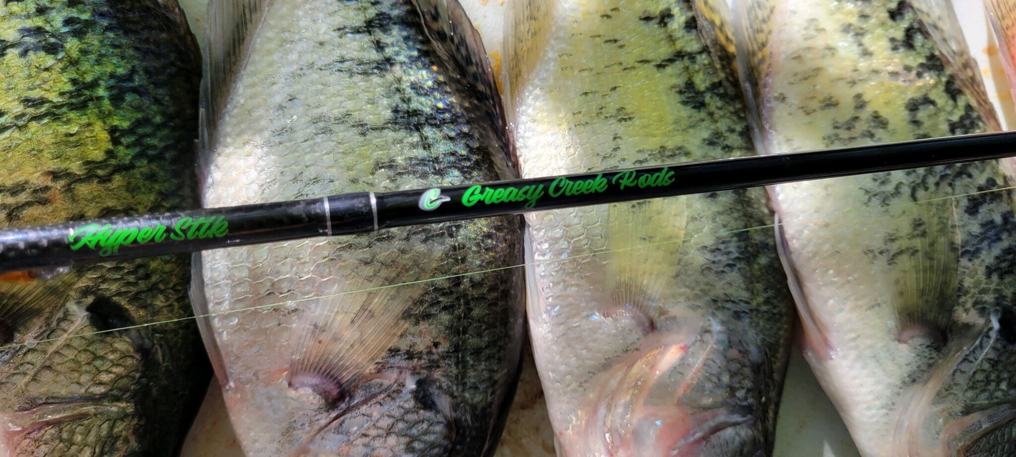 CRAPPIE RODS SPINNING - Gellco Outdoors
