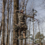 SUMMIT TREESTANDS VIPER SD