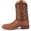 JUSTIN BOOTS TRUMAN 11" FULL QUILL OSTRICH WESTERN BOOT