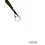 ACC CRAPPIE STIX Green Series Super Grips Jigging Rods - -