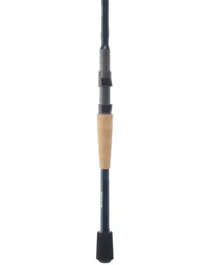 CASHION FISHING Element Spinning Rods