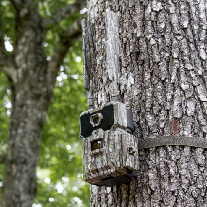 WISEEYE DATACAM 2 CELLULAR TRAIL CAMERA