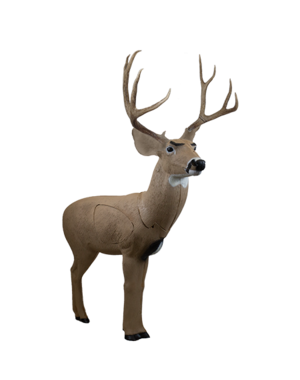 RINEHART TARGETS SIGNATURE MULE DEER