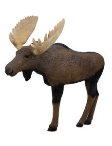 RINEHART TARGETS 1/3 SCALE MOOSE 3-D TARGET