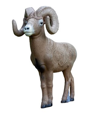 RINEHART TARGETS 1/2 SCALE BIGHORN 3-D TARGET