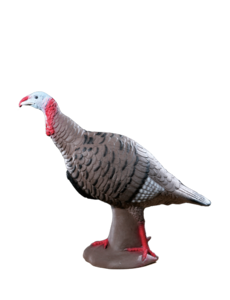 RINEHART TARGETS TOM TURKEY TARGET