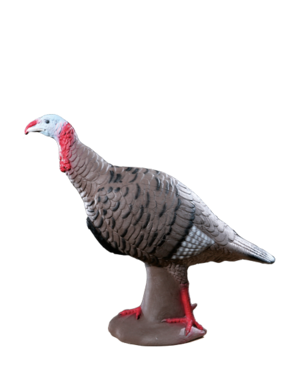 RINEHART TARGETS TOM TURKEY TARGET