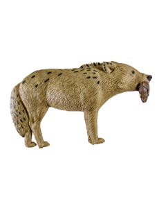 RINEHART TARGETS SIGNATURE COYOTE 3D TARGET