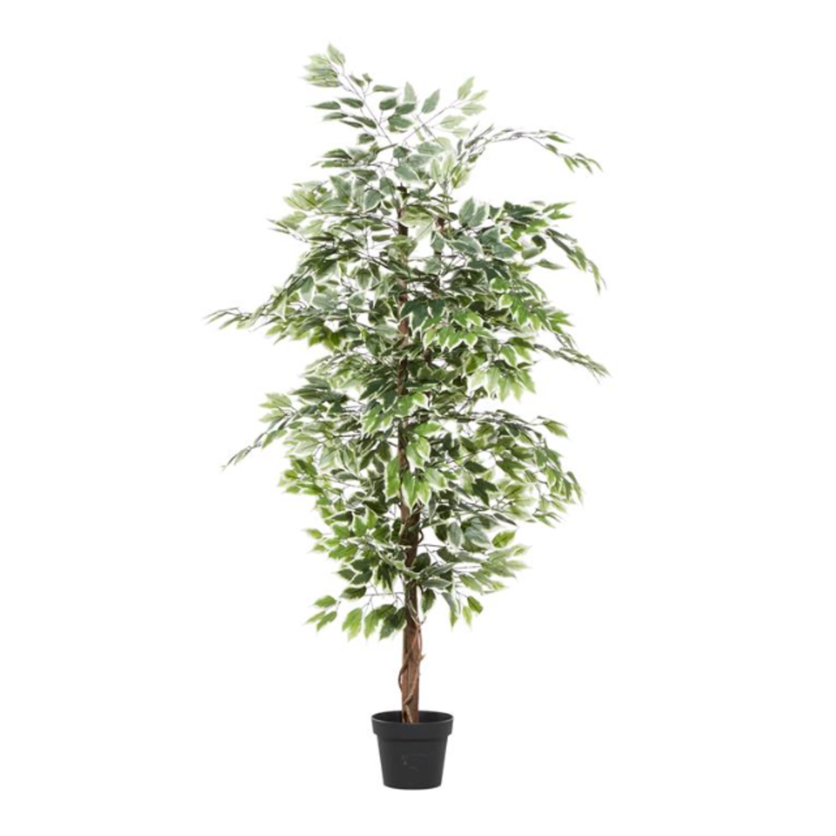 Uma Artificial Ficus 73"- 88287 (/FW)