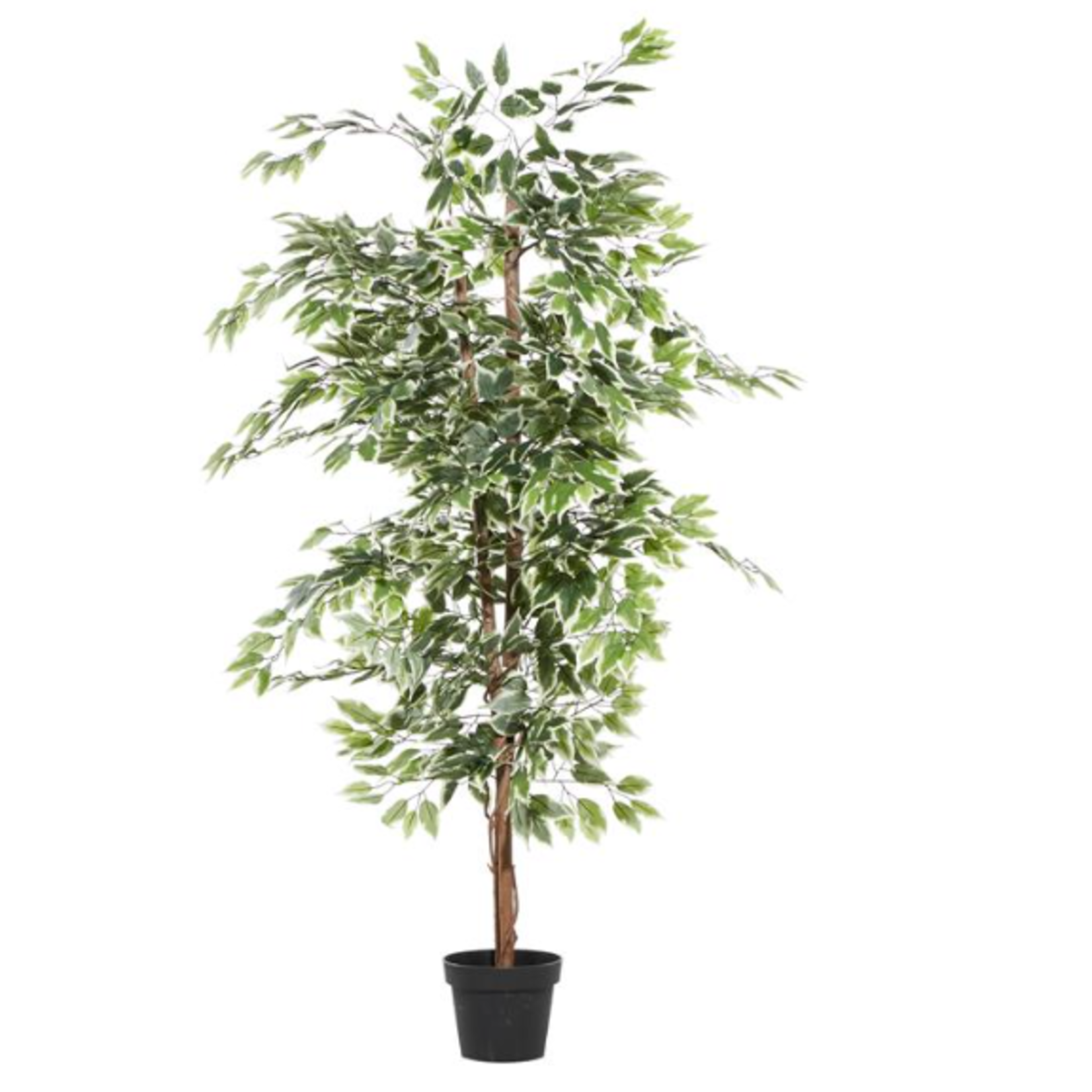 Uma Artificial Ficus 73"- 88287 (/FW)