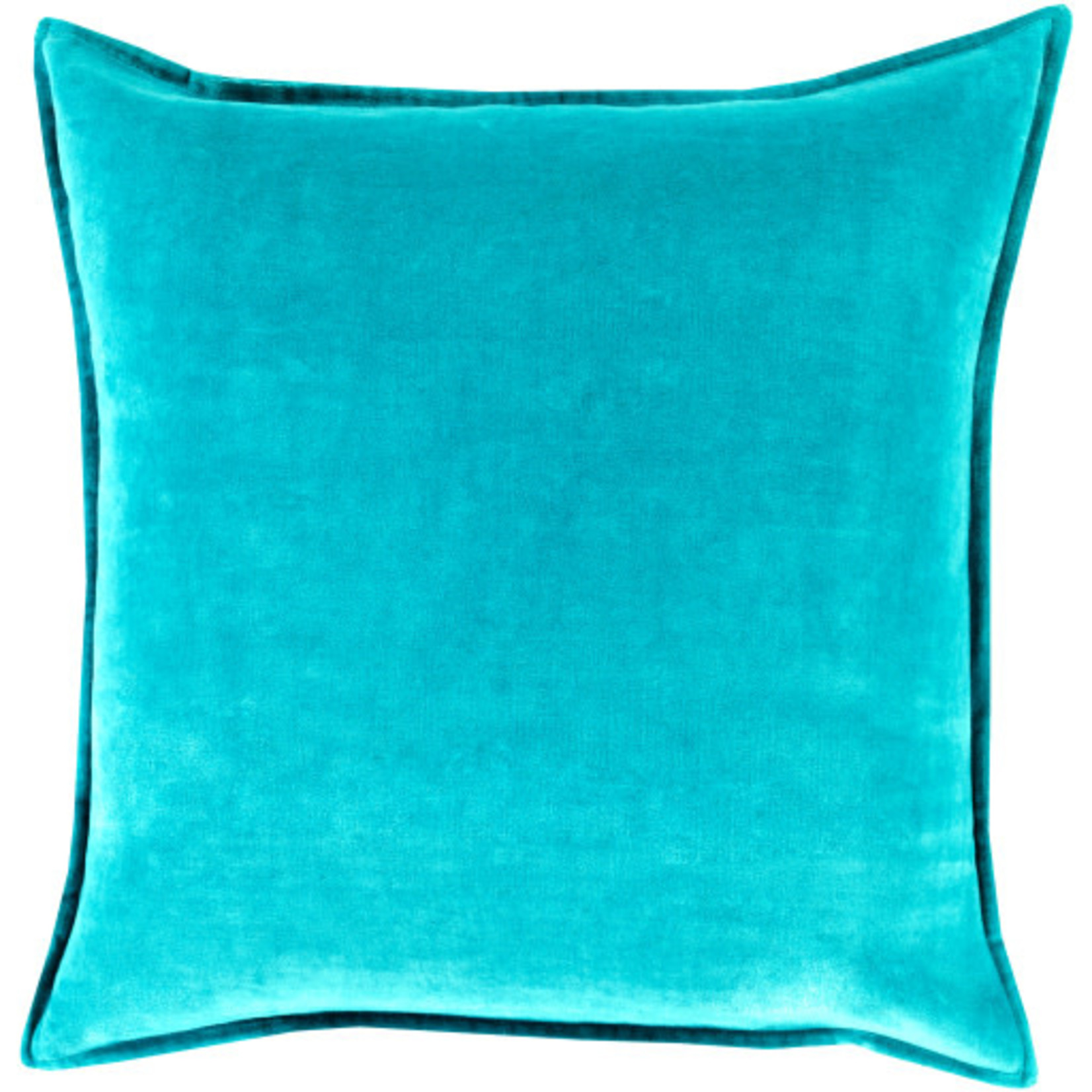 Surya CV019-2020P 20x20 Pillow