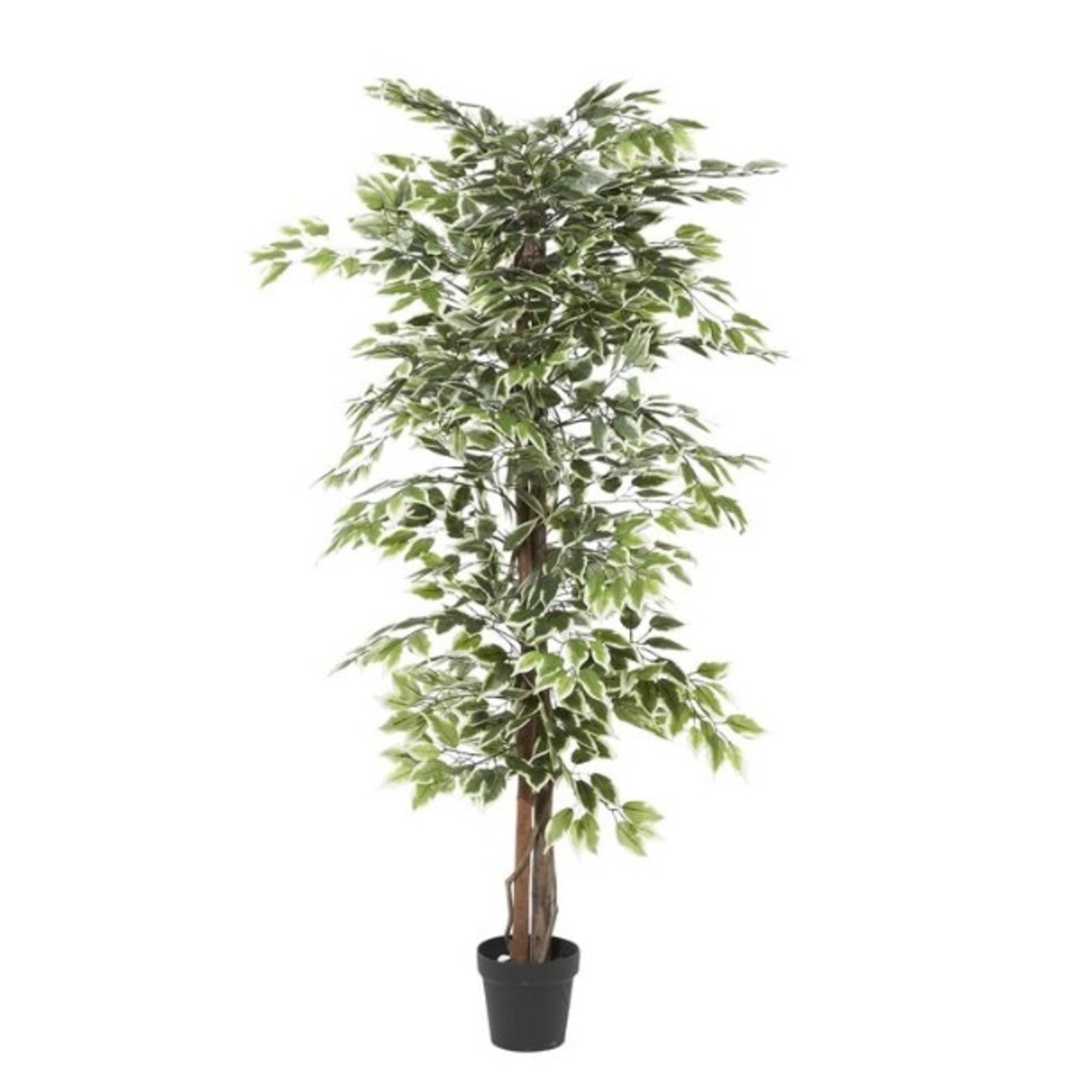 Uma Artificial Ficus 73"- 88287 (/FW)
