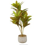 Uma Foliage 16"Wx30"H