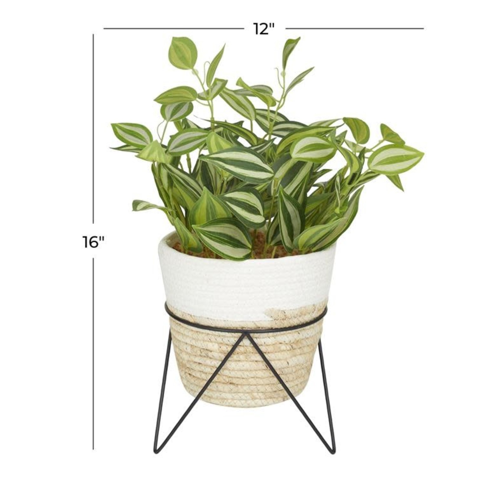 Plant (FW)