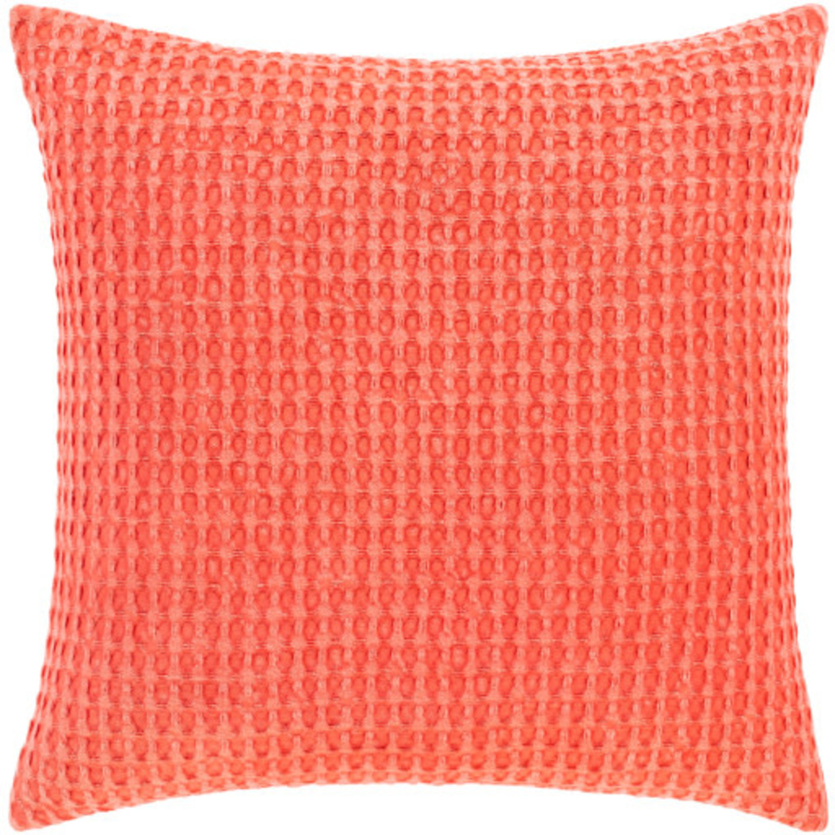 Surya WFL003 20x20 Pillow