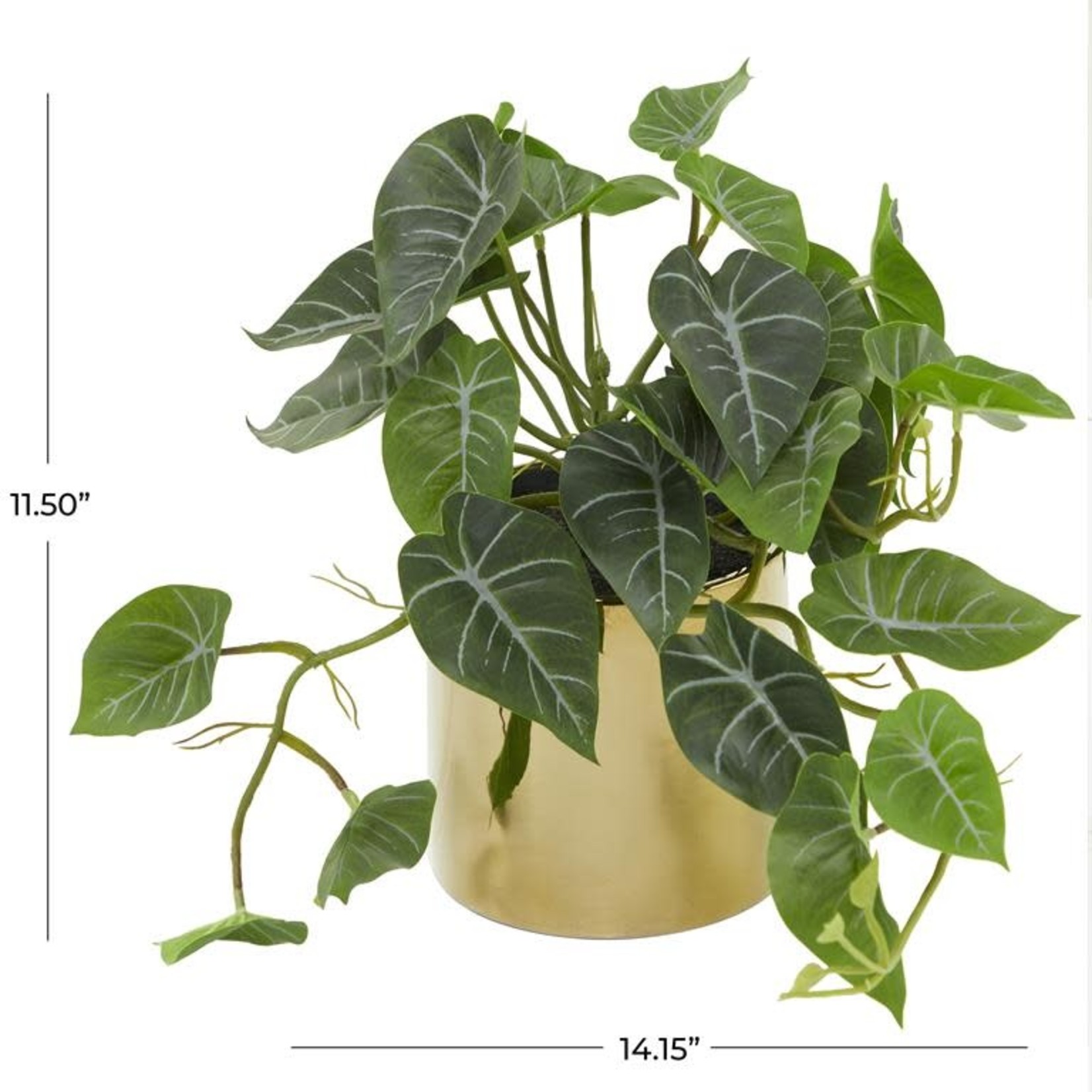 Uma Plant w/ceramic pot 12"