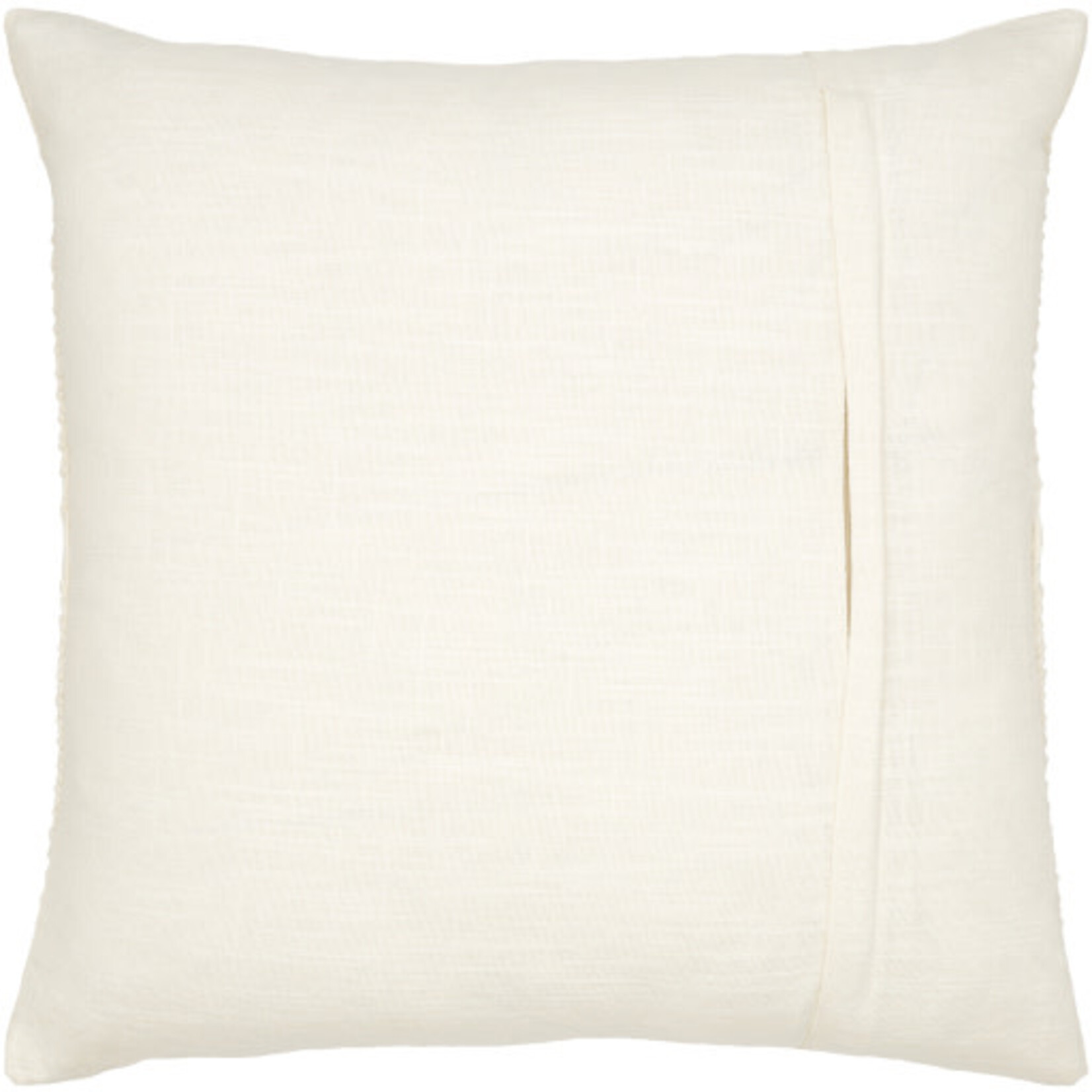 Surya ERD001-2222D 22x22 Pillow