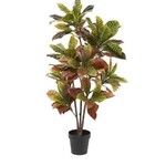 Uma Plant in Pot 50"H