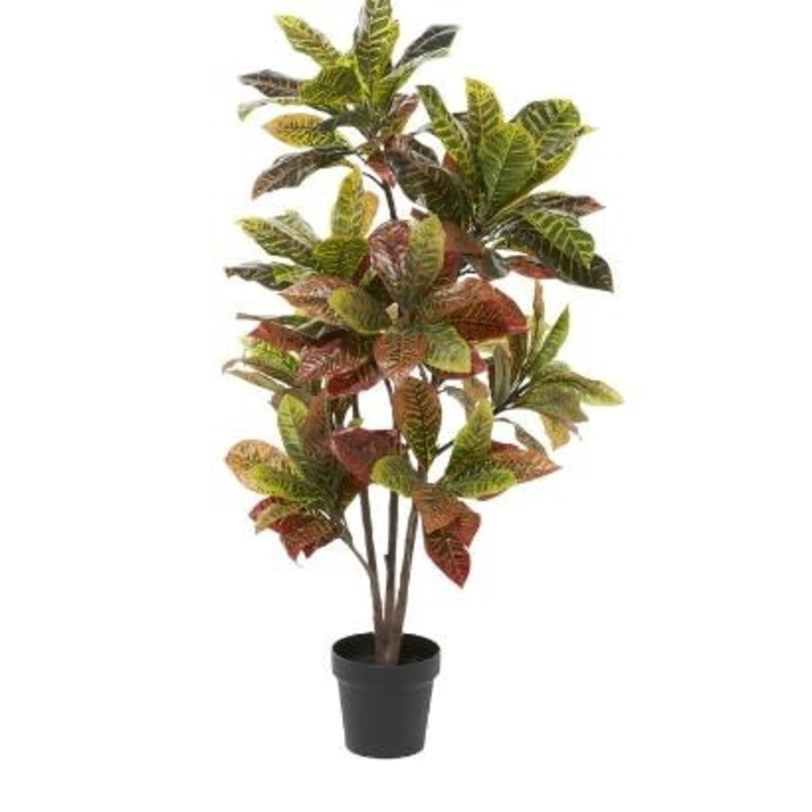 Uma Plant in Pot 50"H-88290
