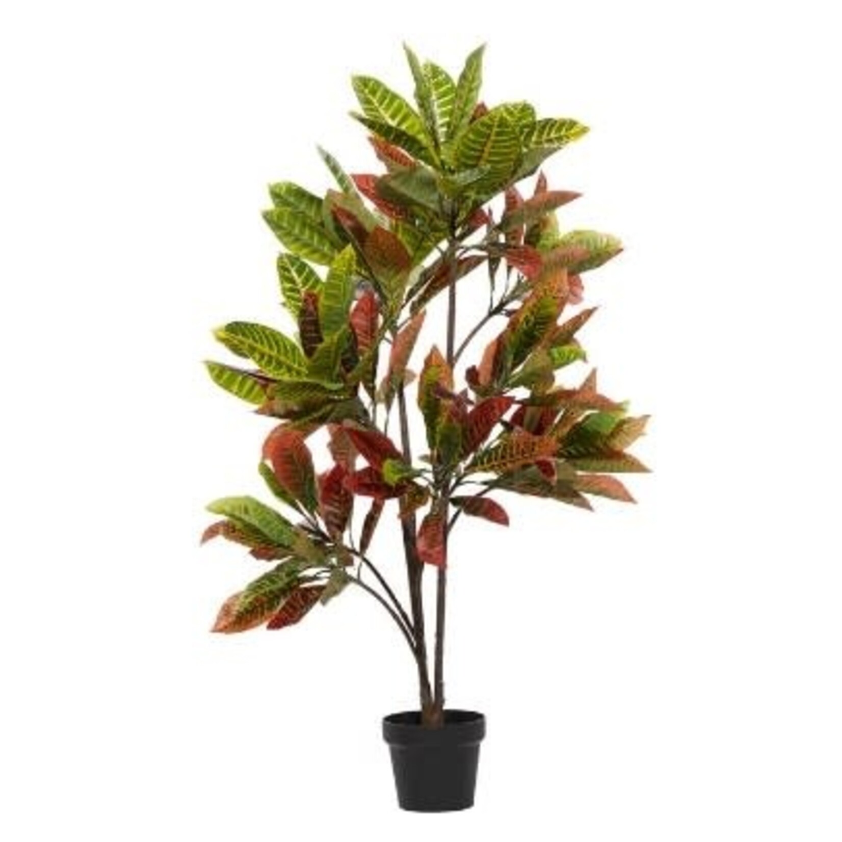 Uma Plant in Pot 50"H-88290