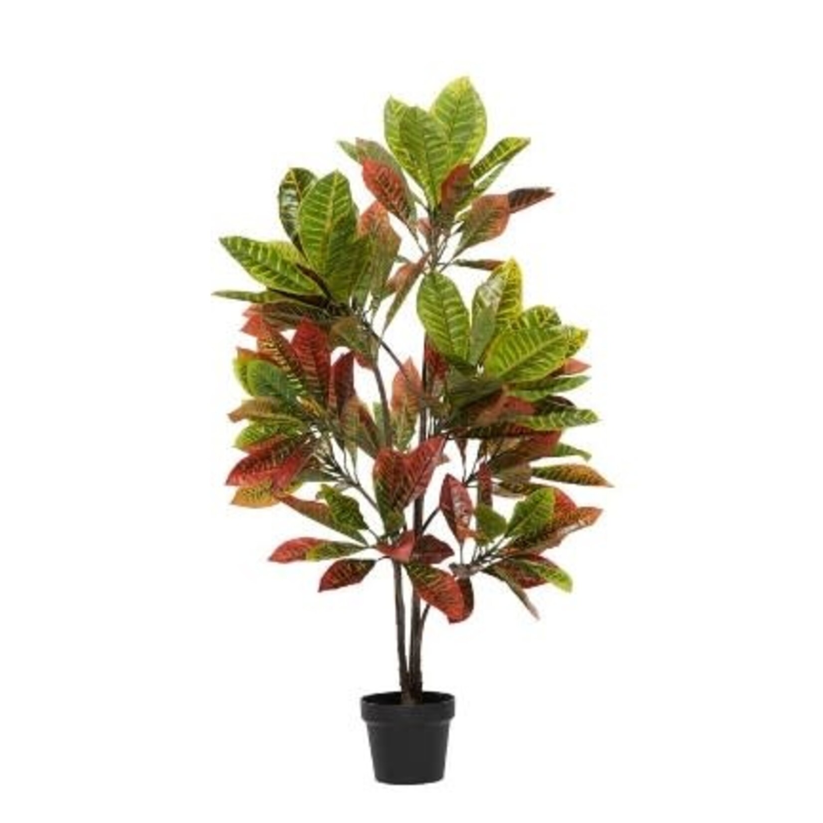 Uma Plant in Pot 50"H-88290