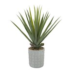 Uma Aloe Foliage 27"Wx38"H- FW/CMS