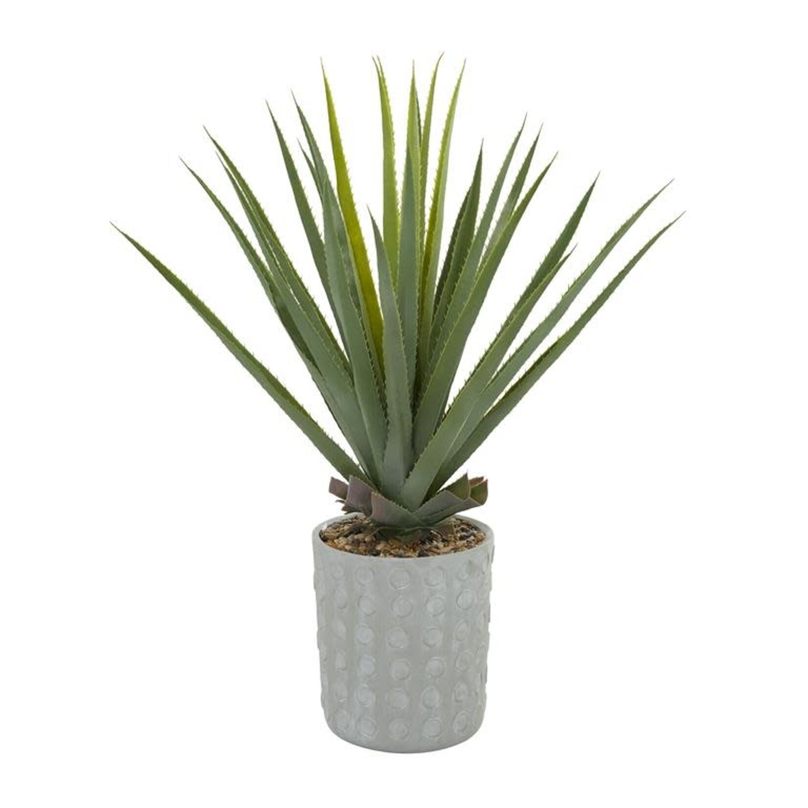 Uma Aloe Foliage 27"Wx38"H- FW/CMS