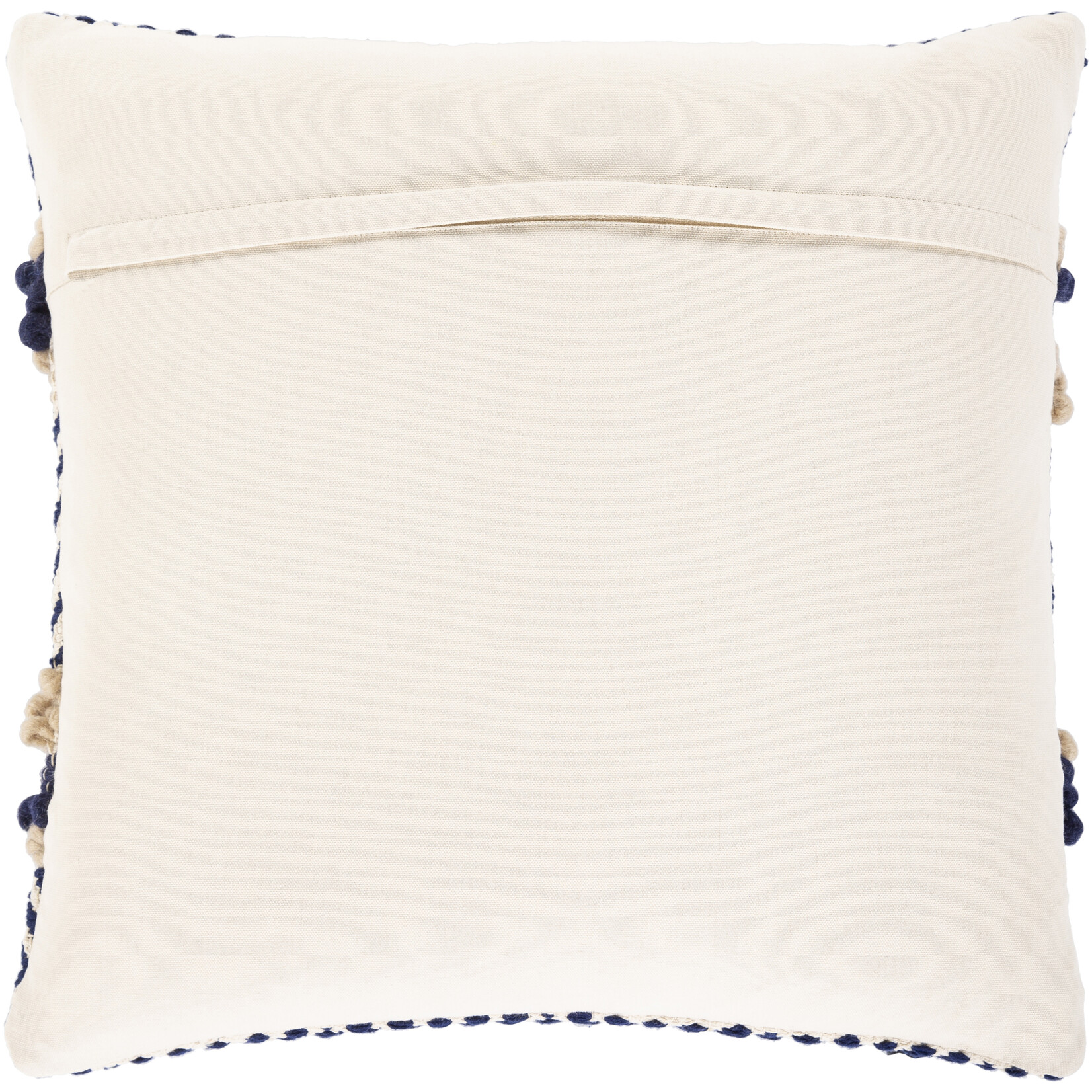 Surya AAN001-2020P 20x20 Pillow