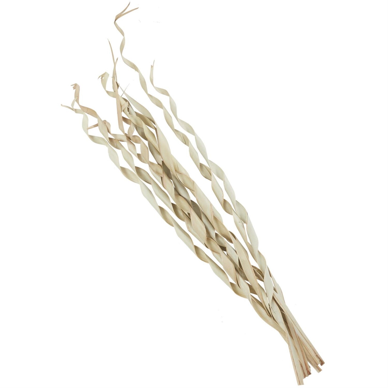 Uma Palm Leaf Roll 45"H