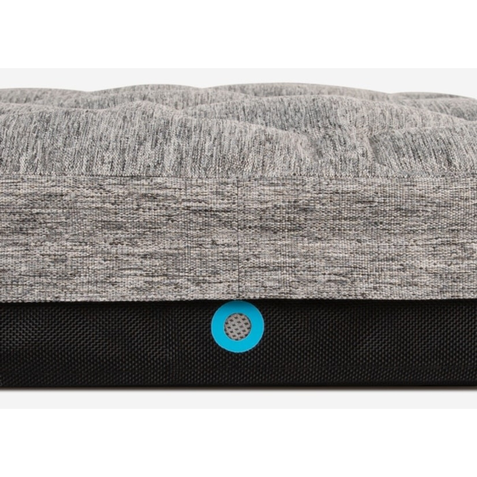 Performance Dog Beds