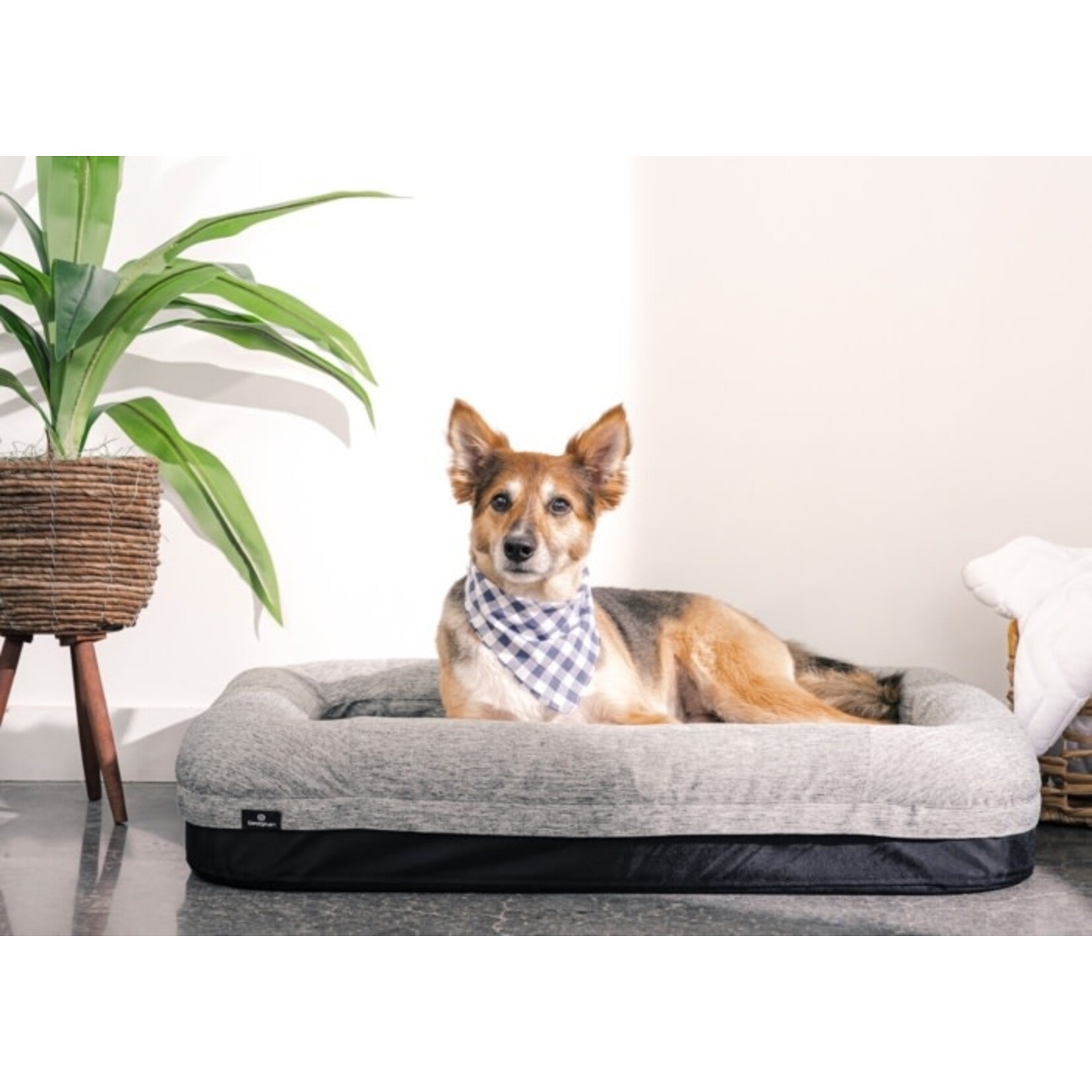 Performance Dog Beds