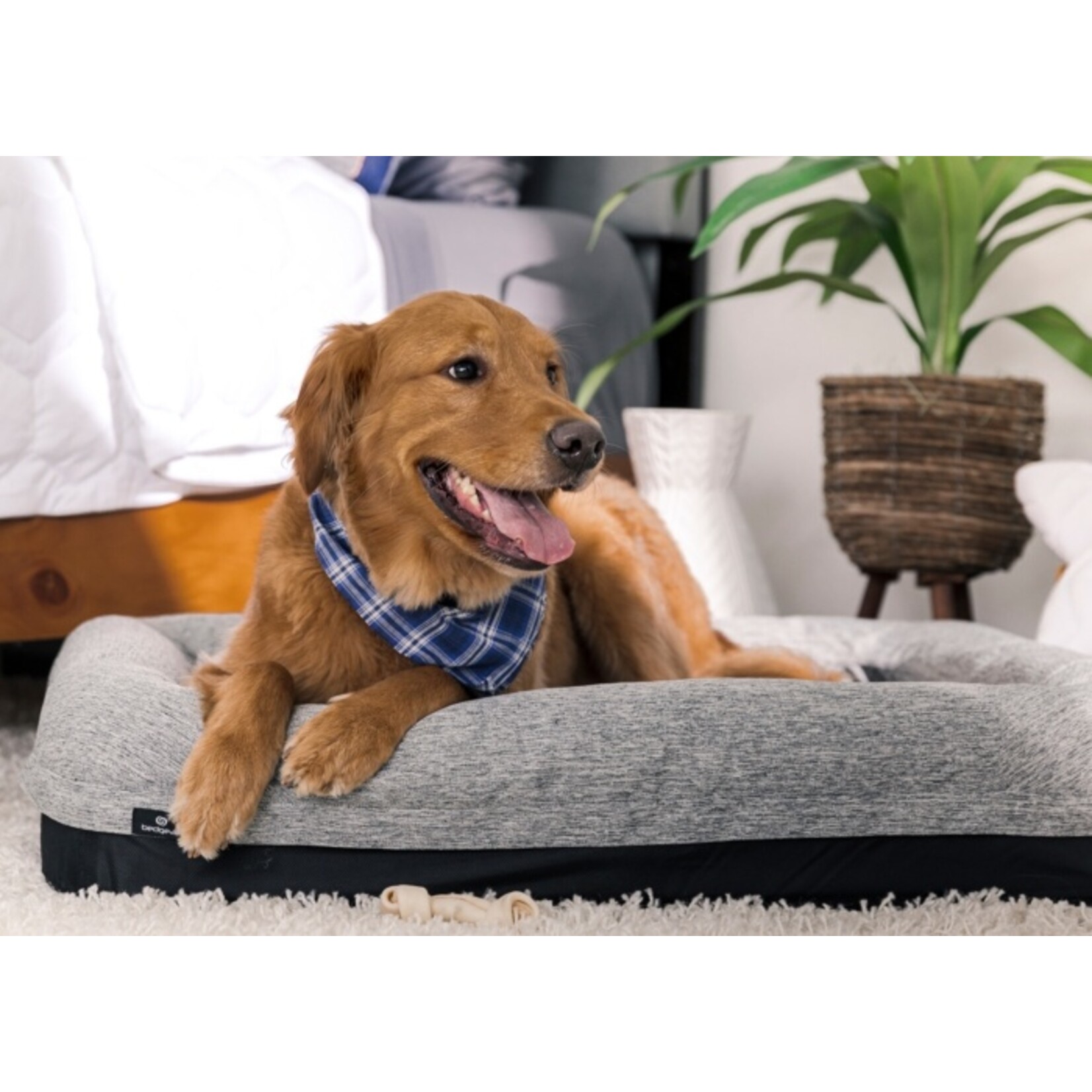 Bedgear Performance Dog Beds