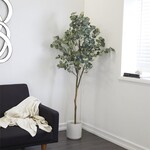 Uma Eucalyptus Tree 45Wx70H