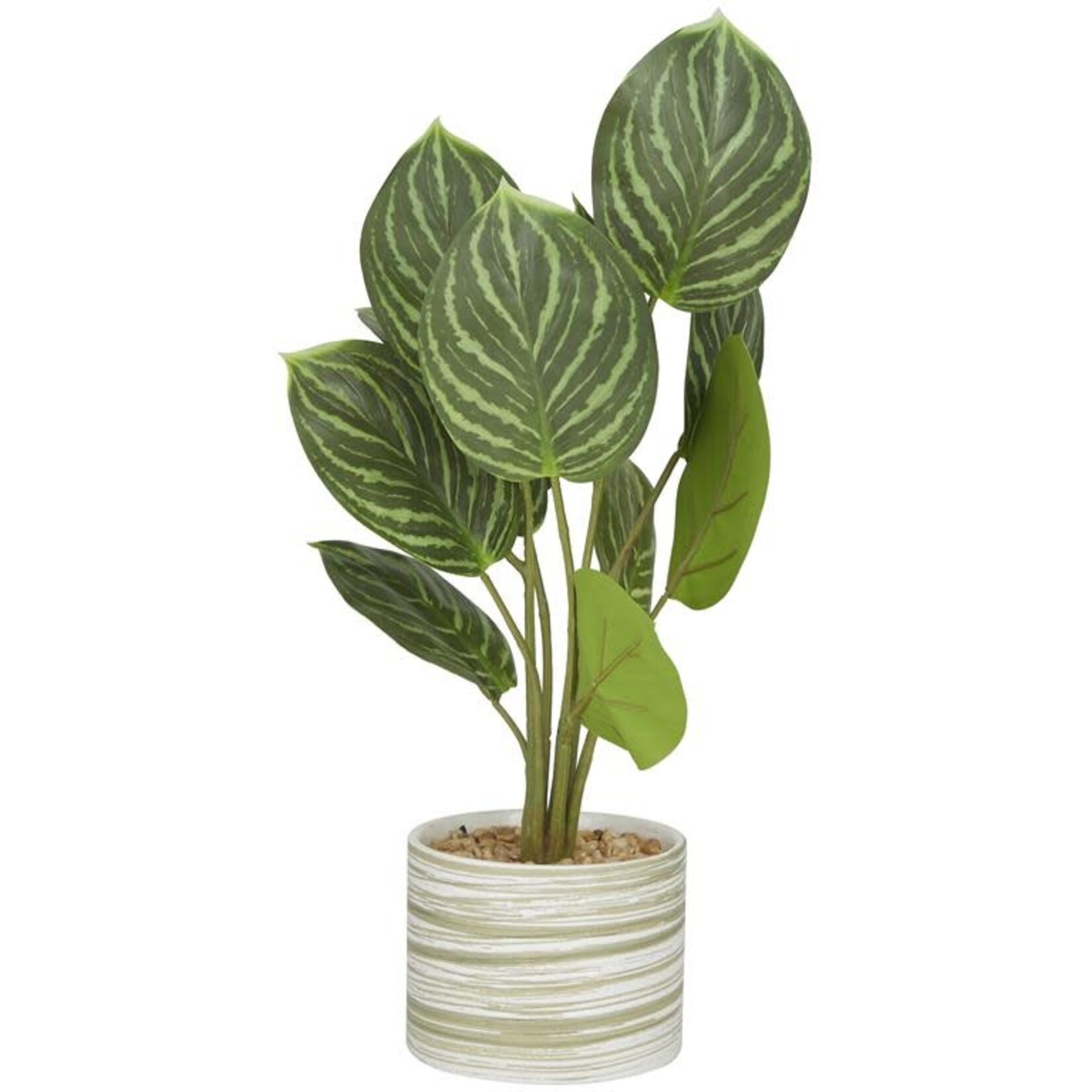 Uma Plant w/ceramic pot 16"H