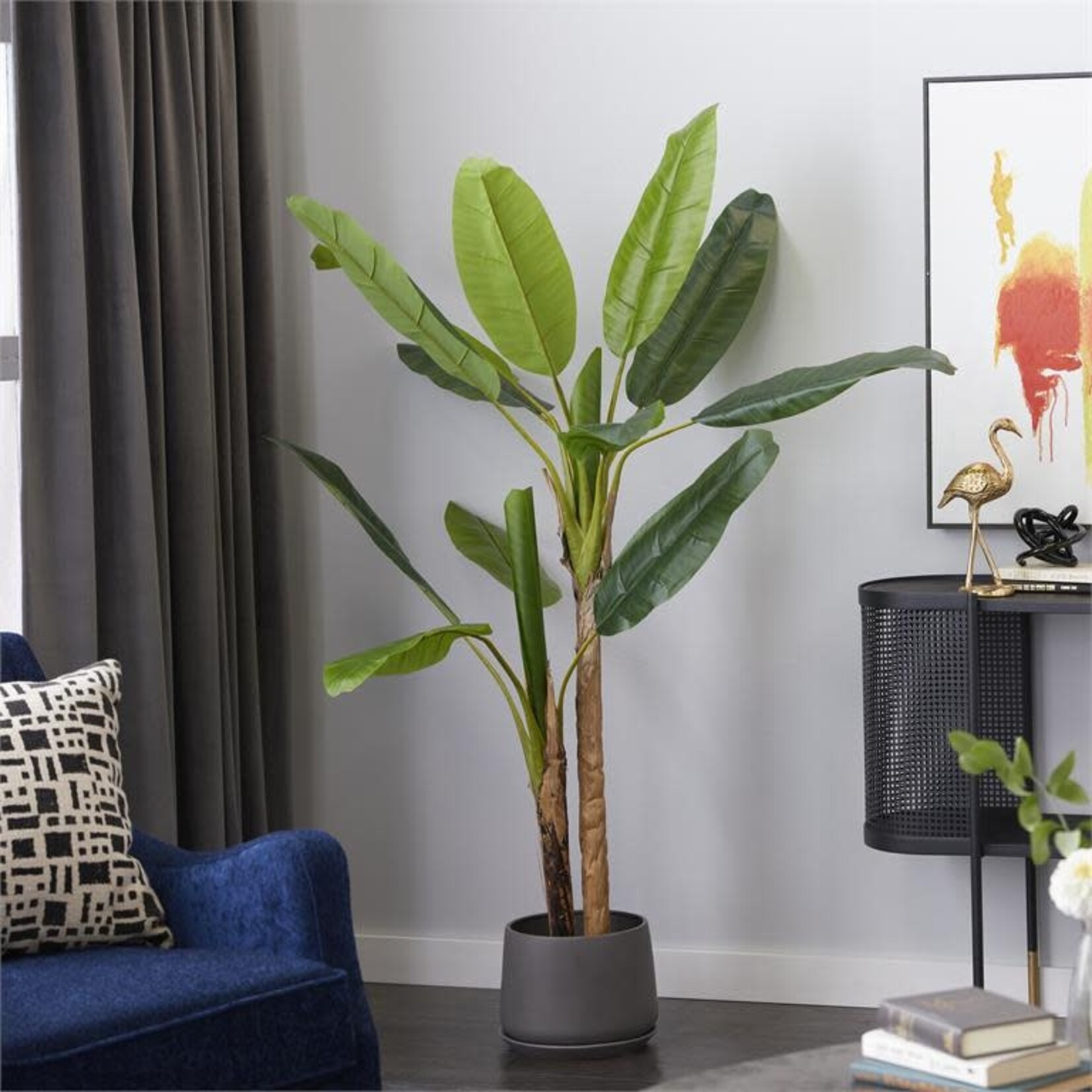Uma Banana Tree in Pot 64H  (FW)