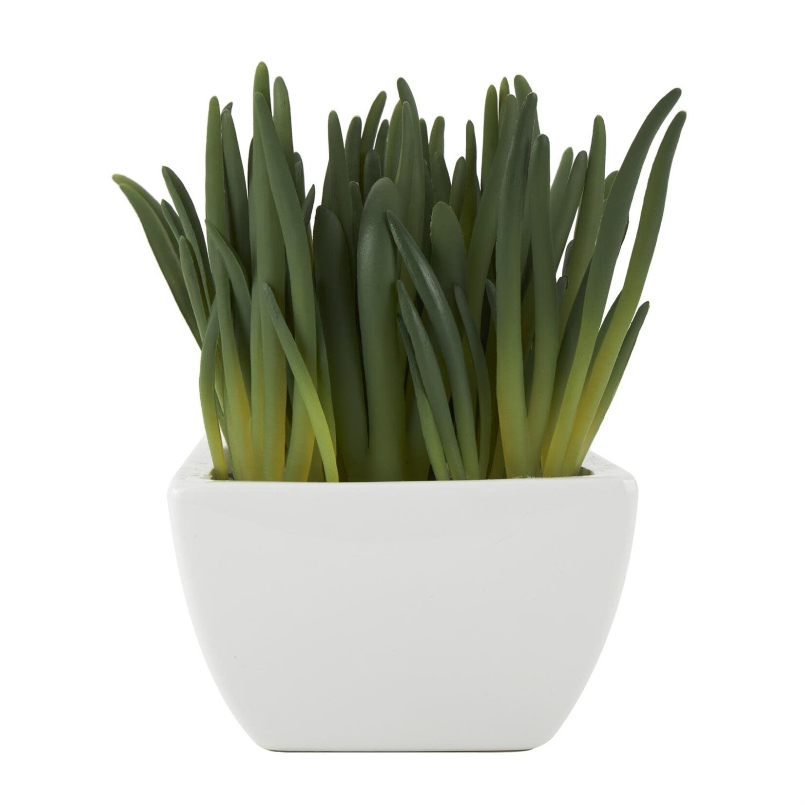 Uma Ceramic Planter 8Wx8H