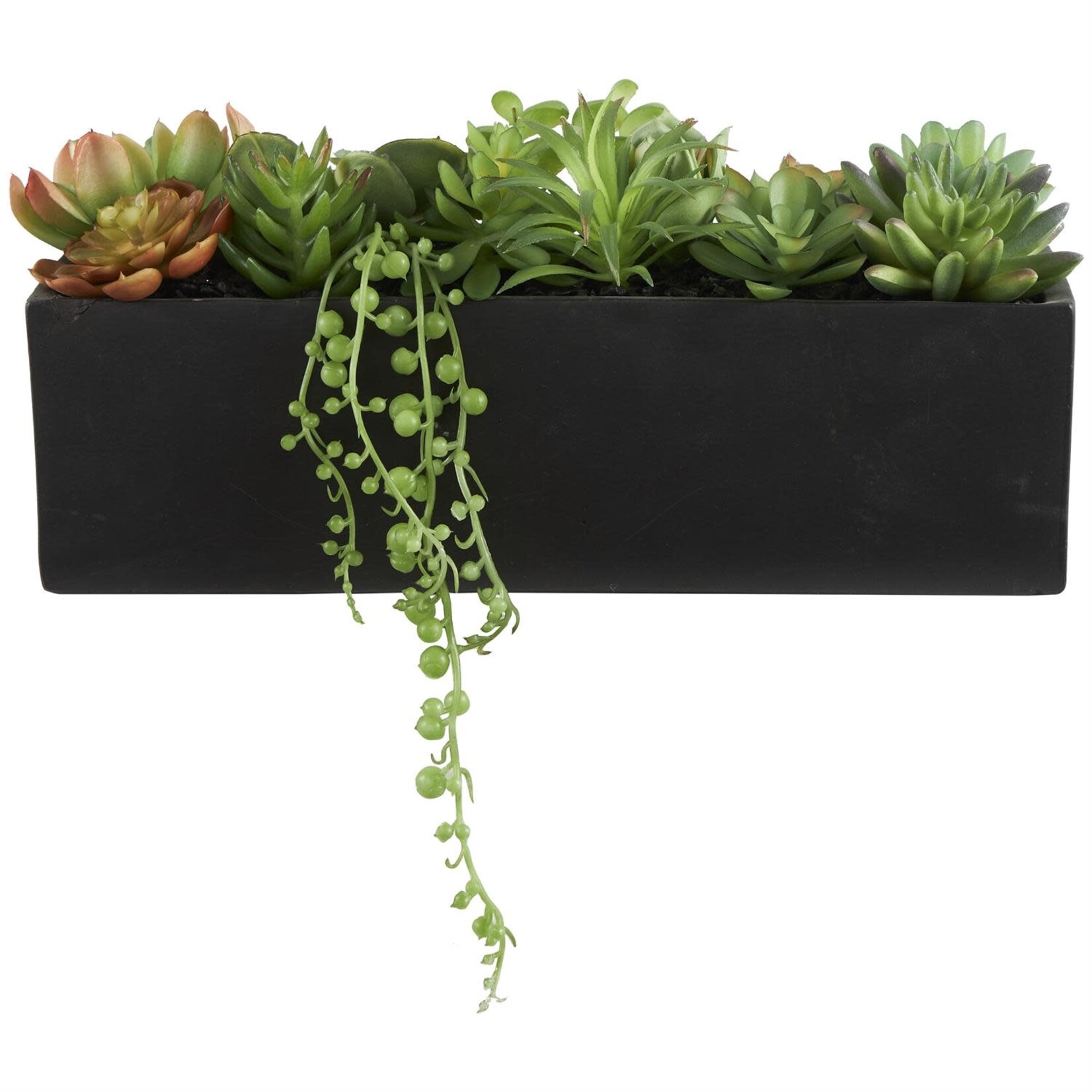 Uma 69076 Succulent 13Wx5H