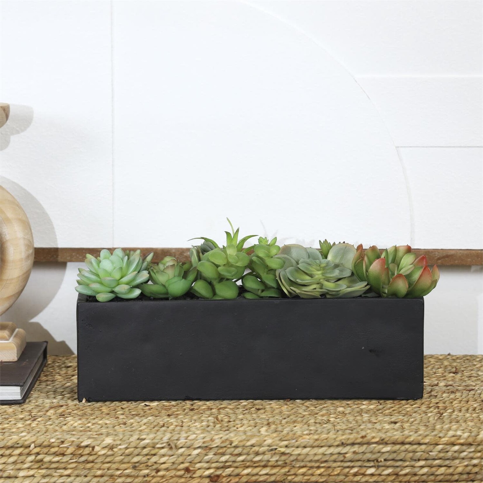 Uma 69076 Succulent 13Wx5H