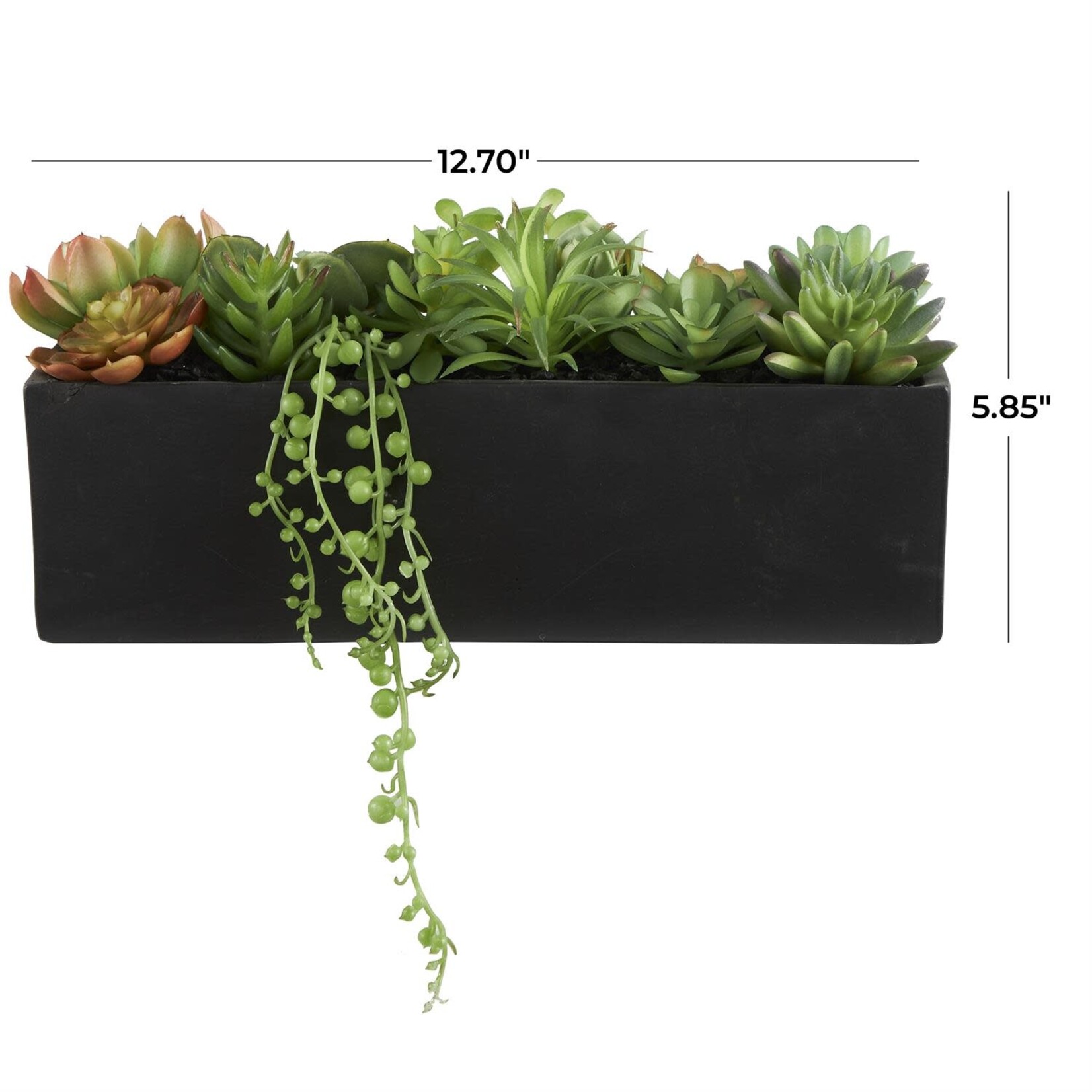Uma 69076 Succulent 13Wx5H