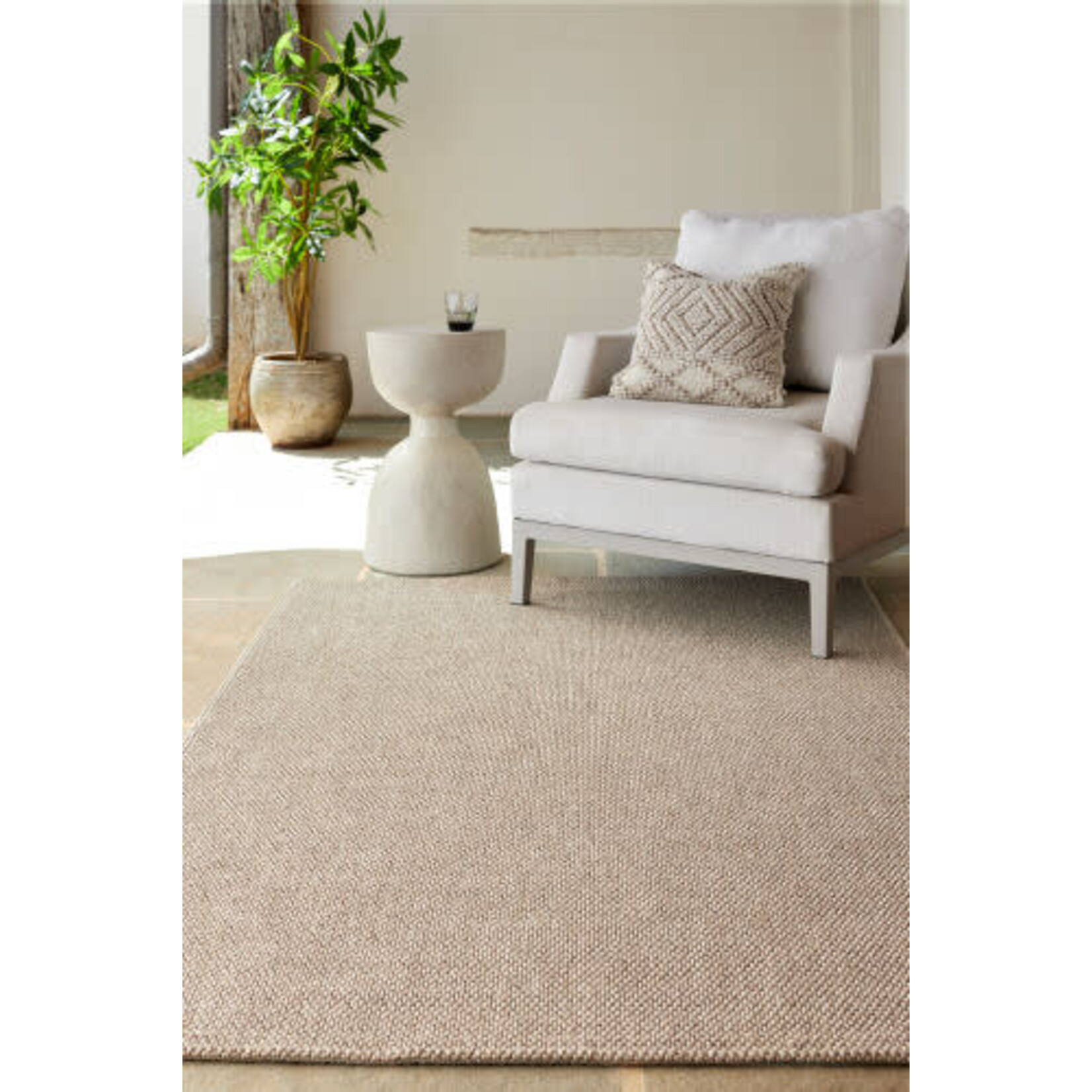 Surya BORD2300-7810 7.8x10 Rug