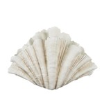 Uma 10861 Shell Decor