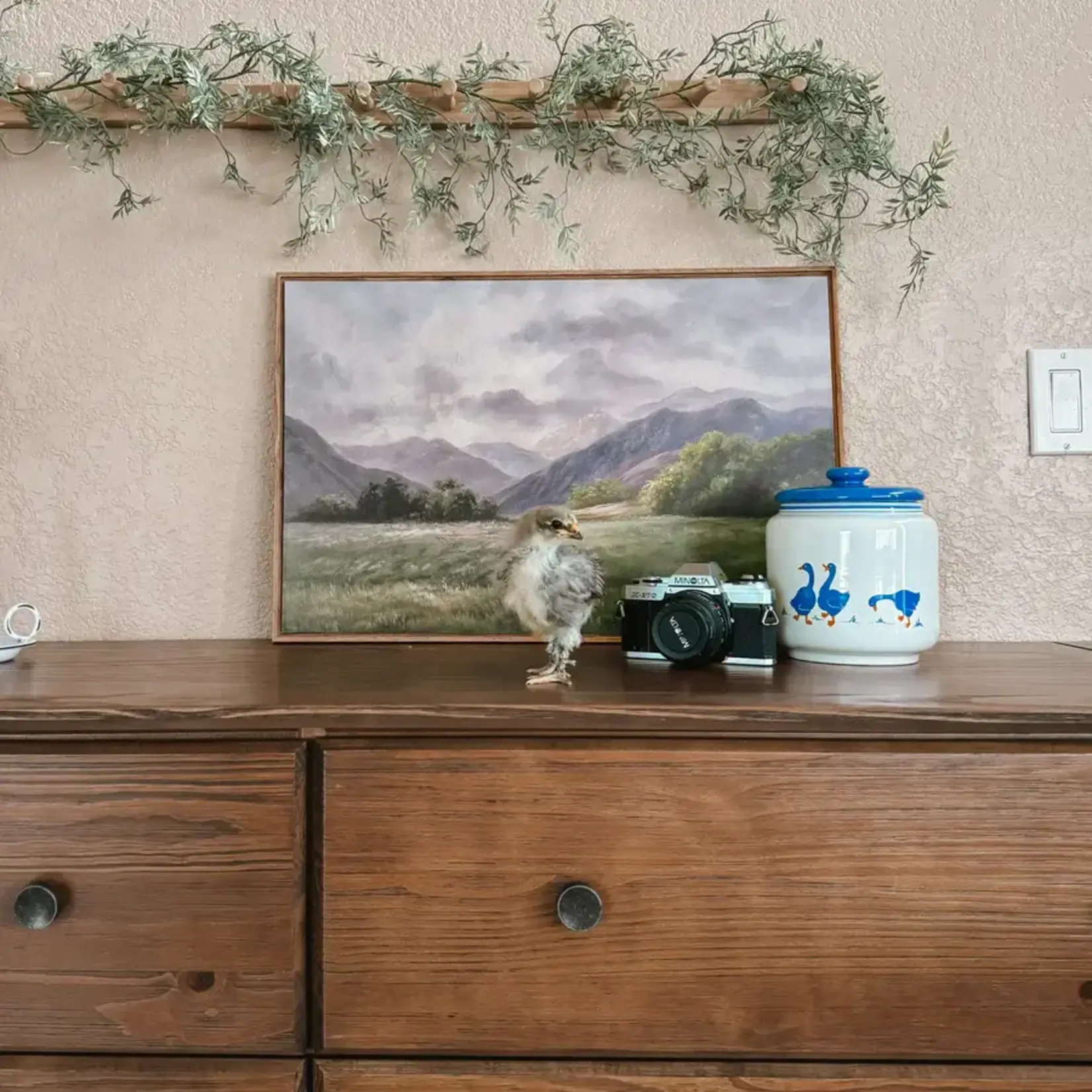 GrainWood Greenport 6 drawer Dresser- Solid Wood - Finish brushed Walnut