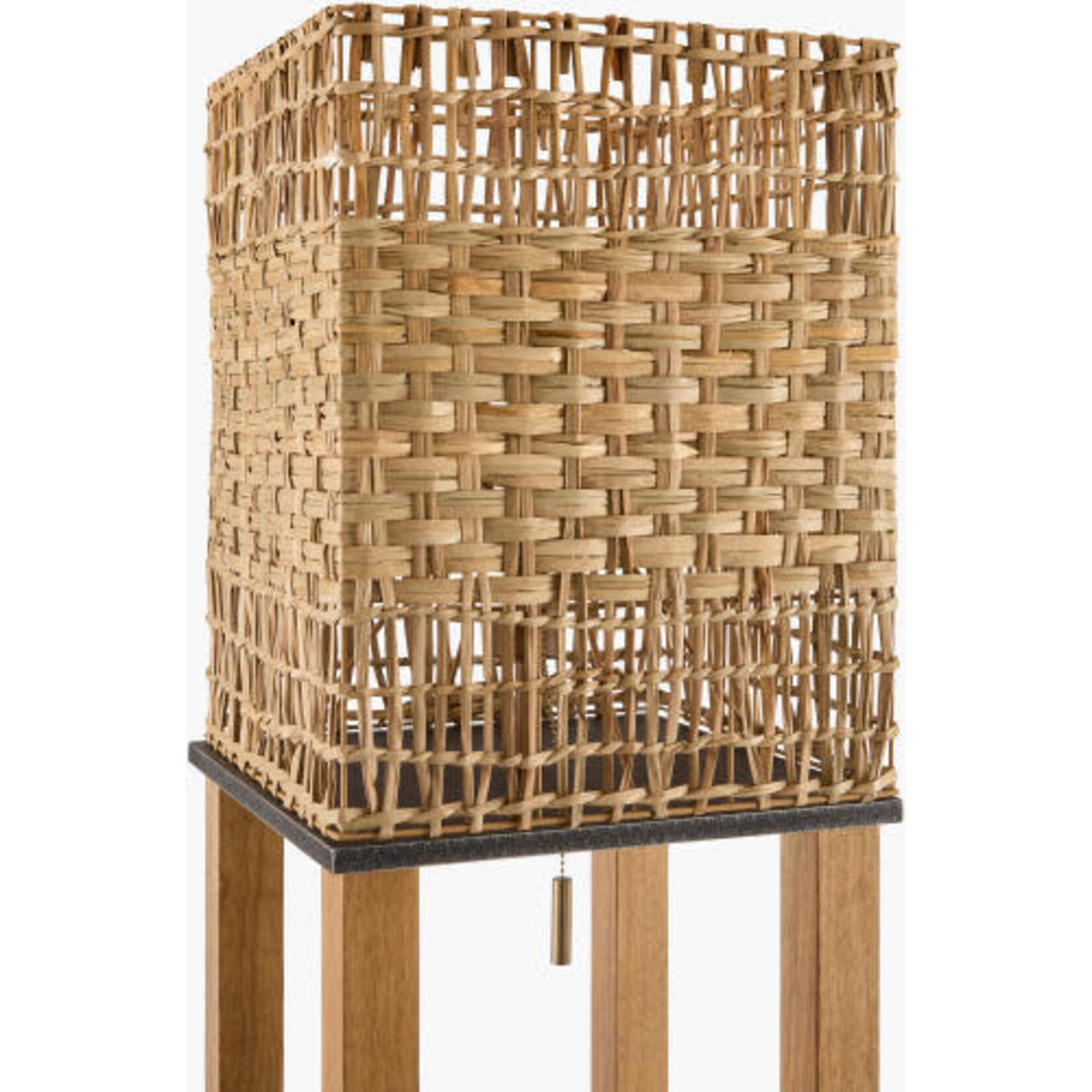 Surya Floor Lamp CIV-002
