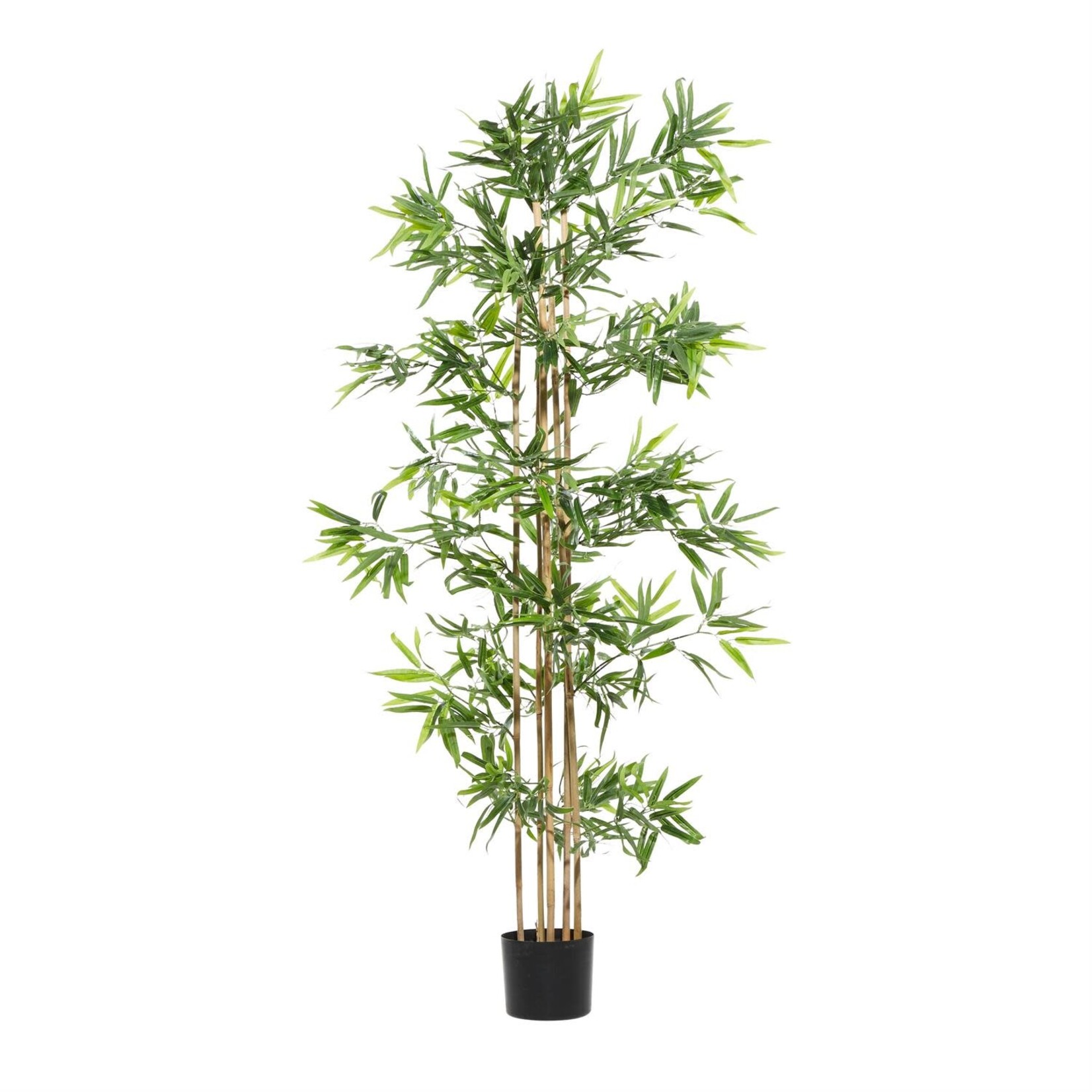 Uma Artificial Plant 88291
