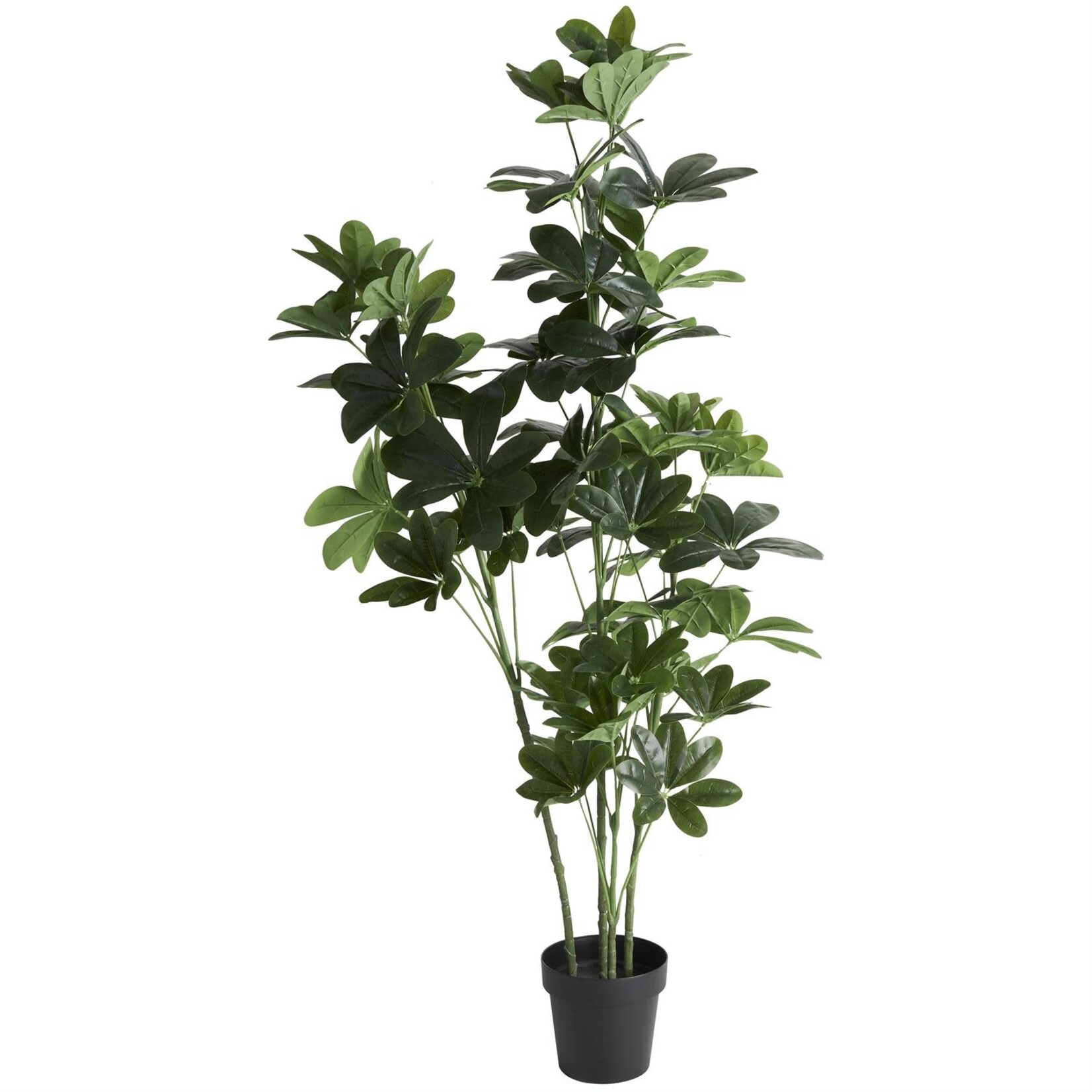 Uma Artificial Plant 69075