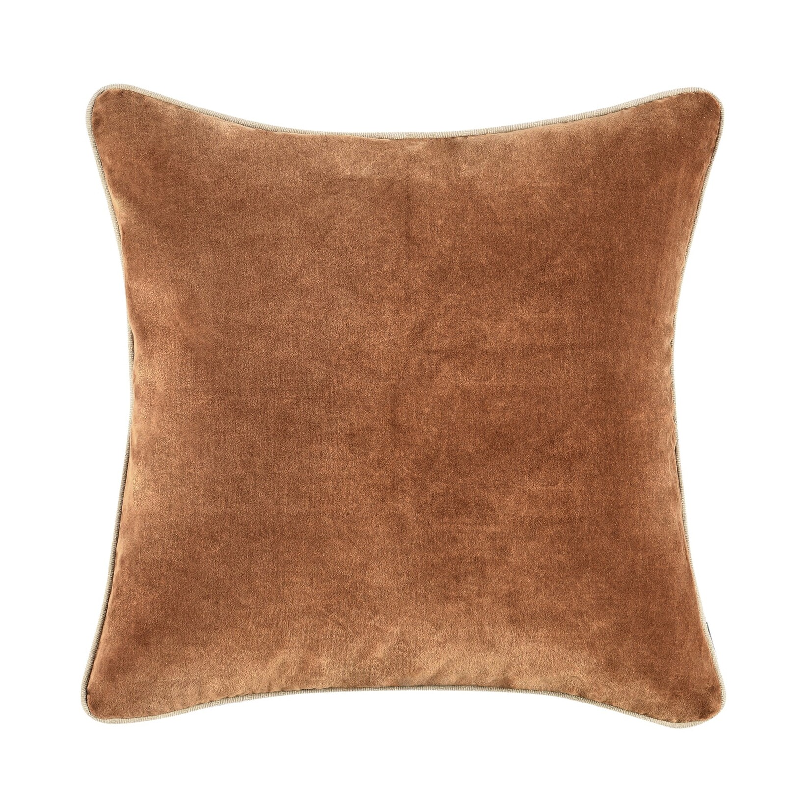 Classic Home Heirloom Velvet Hazel 22x22 Pillow V290129