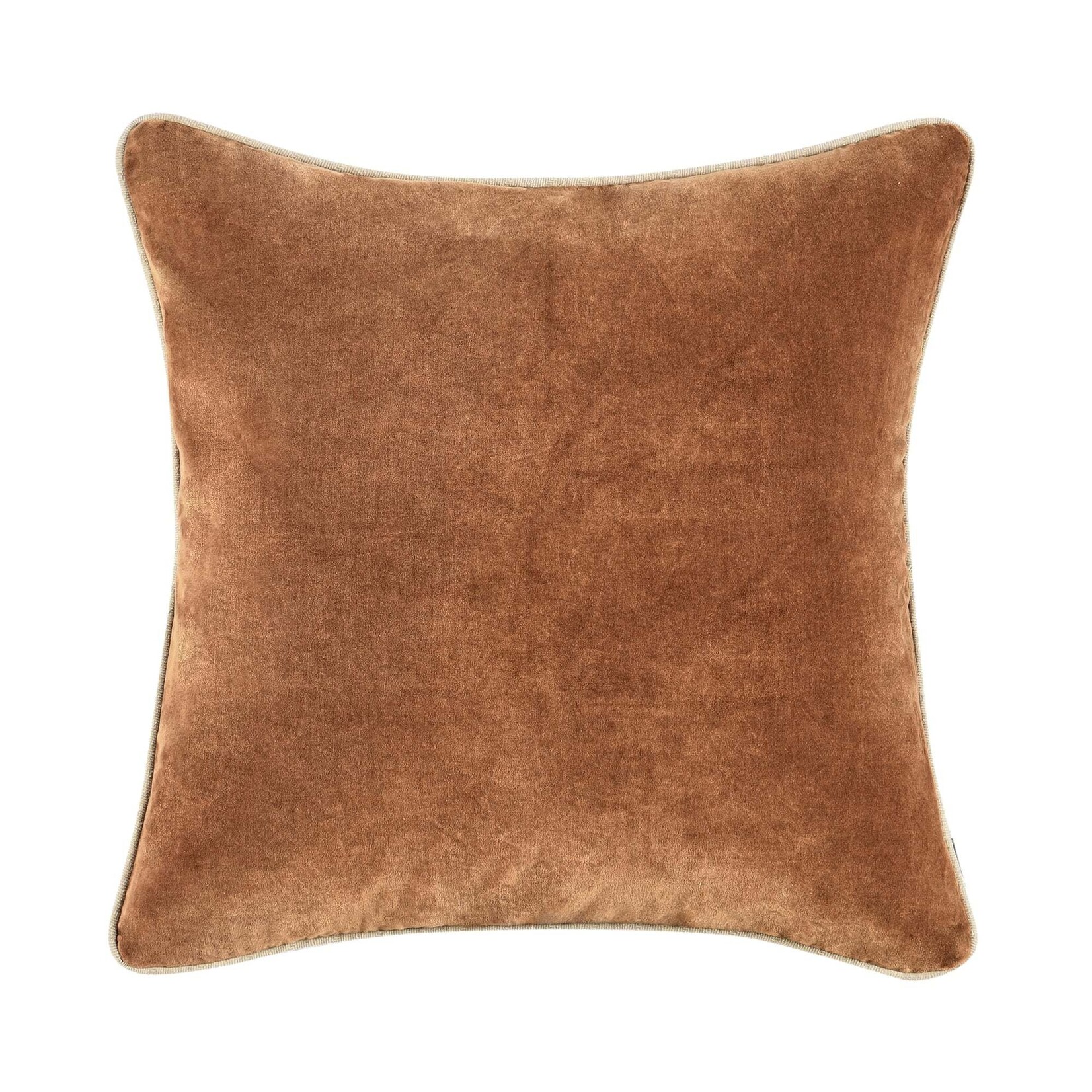 Classic Home Heirloom Velvet Hazel 22x22 Pillow V290129
